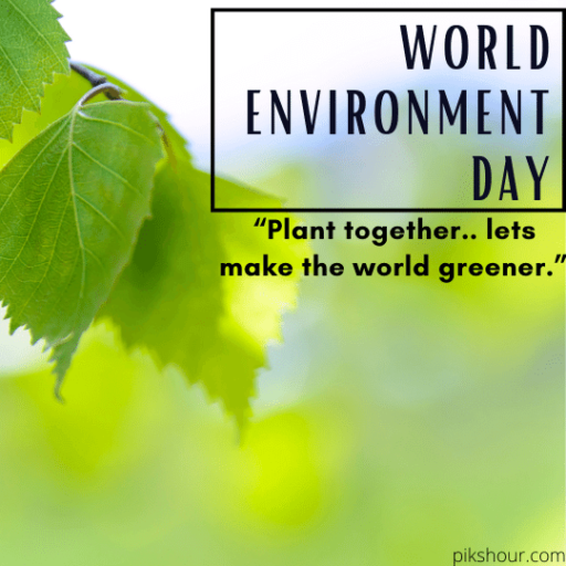 32+ World Environment day 2021 - PiksHour Important days